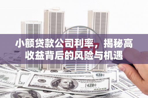 延庆小额贷款公司利率，揭秘高收益背后的风险与机遇
