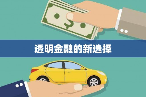 延庆透明金融的新选择