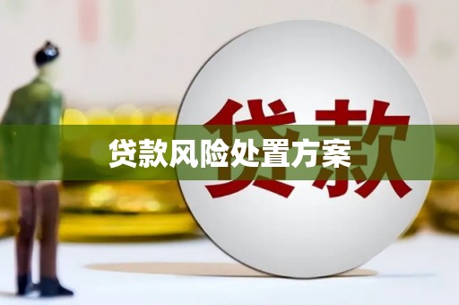 延庆贷款风险处置方案