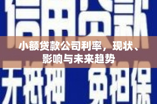 延庆小额贷款公司利率，现状、影响与未来趋势