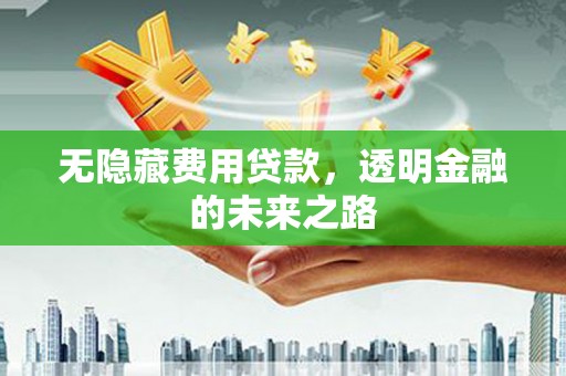 延庆无隐藏费用贷款，透明金融的未来之路