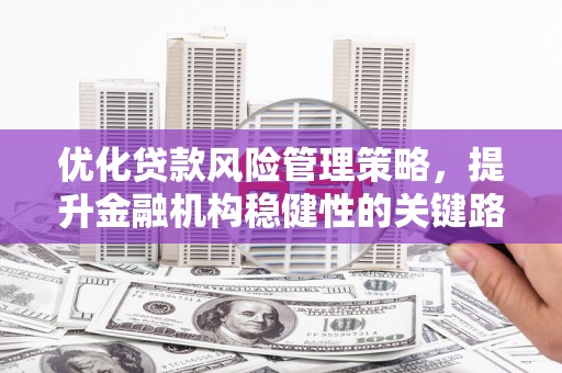 延庆优化贷款风险管理策略，提升金融机构稳健性的关键路径