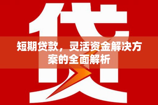 延庆短期贷款，灵活资金解决方案的全面解析