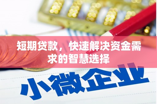 延庆短期贷款，快速解决资金需求的智慧选择