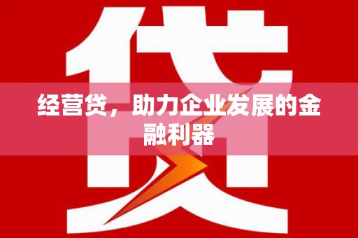 延庆经营贷，助力企业发展的金融利器