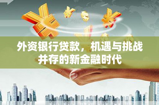 延庆外资银行贷款，机遇与挑战并存的新金融时代