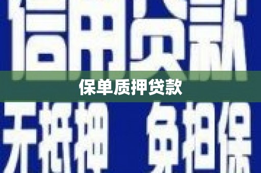 延庆保单质押贷款