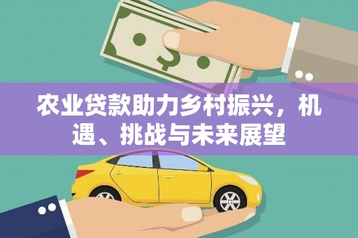 延庆农业贷款助力乡村振兴，机遇、挑战与未来展望