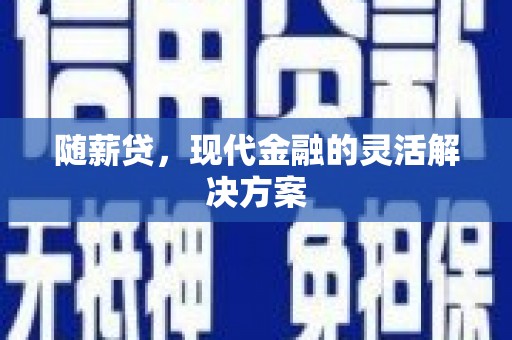 延庆随薪贷，现代金融的灵活解决方案