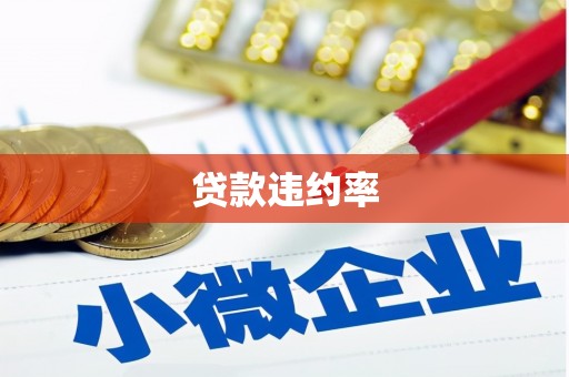 延庆贷款违约率