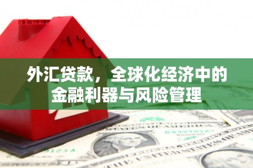 延庆外汇贷款，全球化经济中的金融利器与风险管理