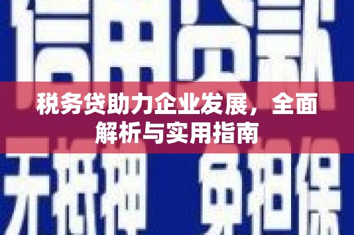 延庆税务贷助力企业发展，全面解析与实用指南