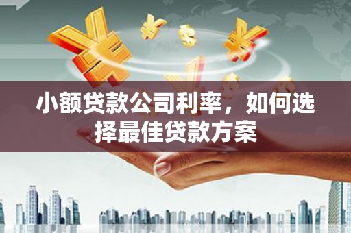 延庆小额贷款公司利率，如何选择最佳贷款方案