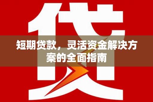延庆短期贷款，灵活资金解决方案的全面指南