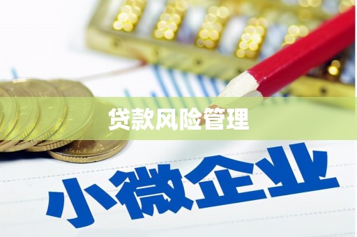延庆贷款风险管理