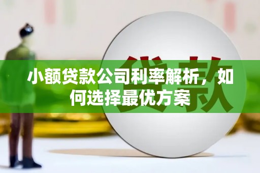 延庆小额贷款公司利率解析，如何选择最优方案
