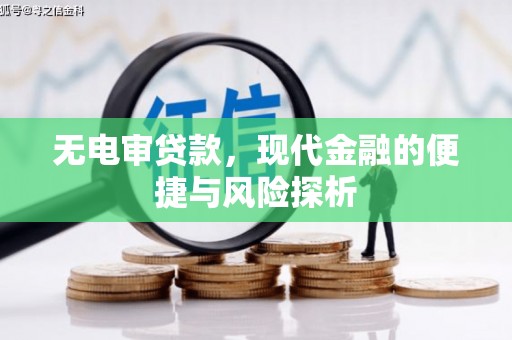 延庆无电审贷款，现代金融的便捷与风险探析