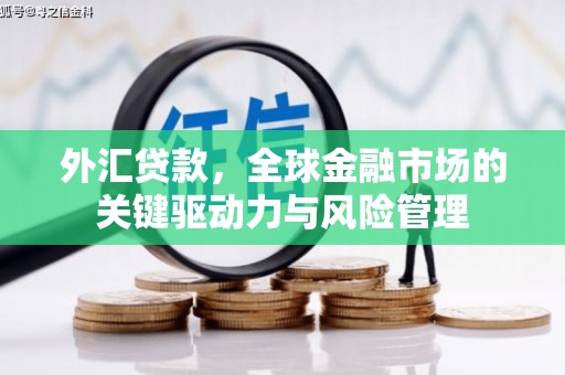 延庆外汇贷款，全球金融市场的关键驱动力与风险管理