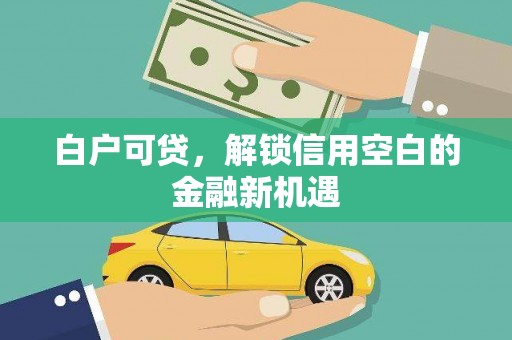 延庆白户可贷，解锁信用空白的金融新机遇
