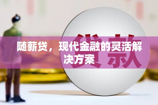 延庆随薪贷，现代金融的灵活解决方案