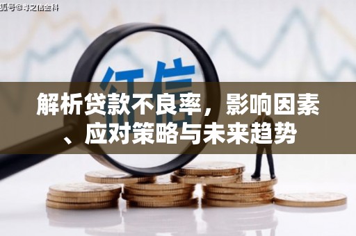 延庆解析贷款不良率，影响因素、应对策略与未来趋势
