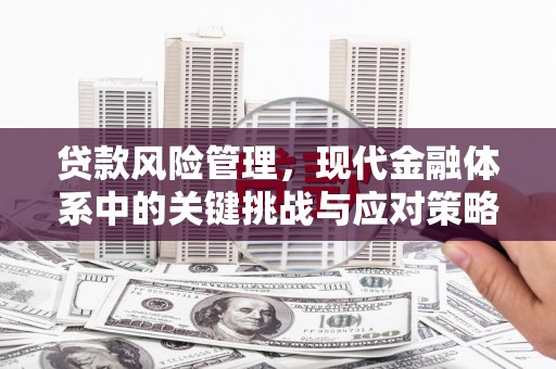 延庆贷款风险管理，现代金融体系中的关键挑战与应对策略