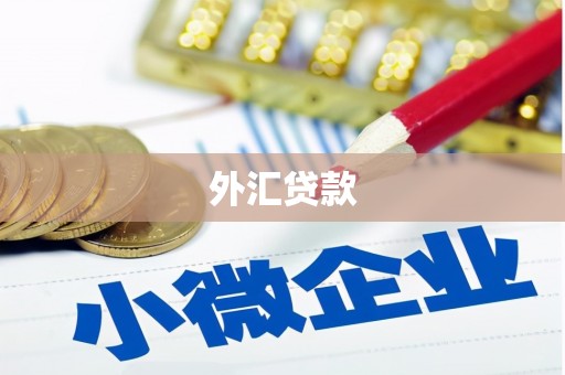 延庆外汇贷款