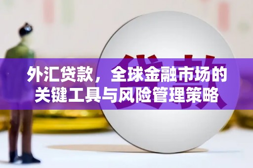 延庆外汇贷款，全球金融市场的关键工具与风险管理策略