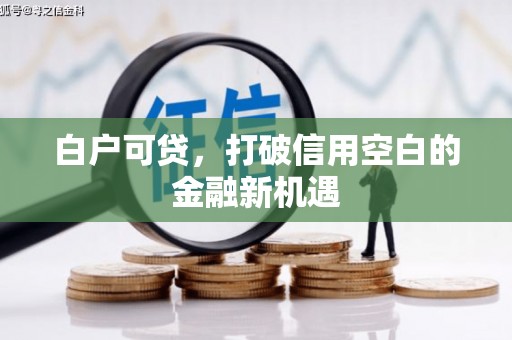 延庆白户可贷，打破信用空白的金融新机遇