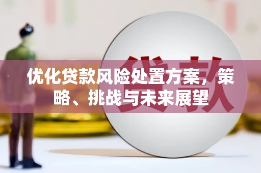 延庆优化贷款风险处置方案，策略、挑战与未来展望