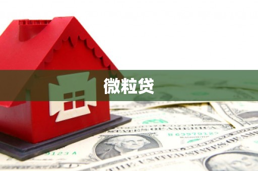 延庆微粒贷