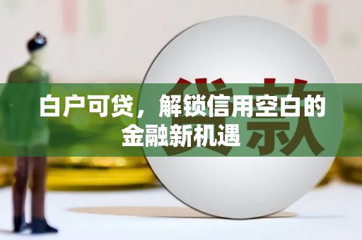 延庆白户可贷，解锁信用空白的金融新机遇
