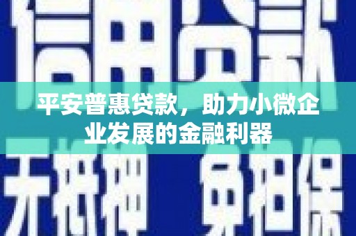 延庆平安普惠贷款，助力小微企业发展的金融利器