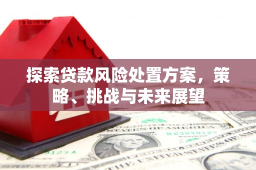 延庆探索贷款风险处置方案，策略、挑战与未来展望