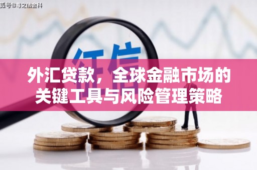 延庆外汇贷款，全球金融市场的关键工具与风险管理策略