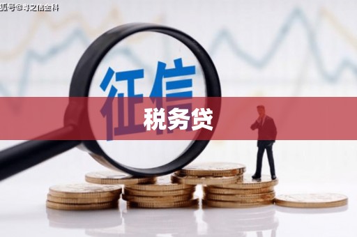 延庆税务贷