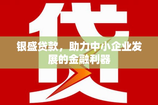 延庆银盛贷款，助力中小企业发展的金融利器