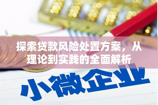 延庆探索贷款风险处置方案，从理论到实践的全面解析