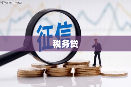 延庆税务贷