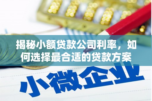 延庆揭秘小额贷款公司利率，如何选择最合适的贷款方案