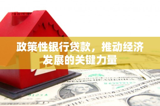 延庆政策性银行贷款，推动经济发展的关键力量