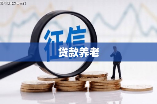 延庆贷款养老