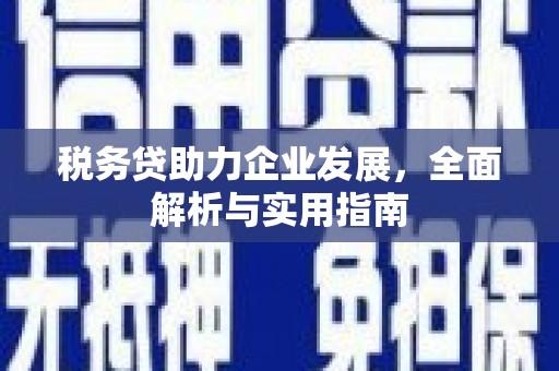 延庆税务贷助力企业发展，全面解析与实用指南