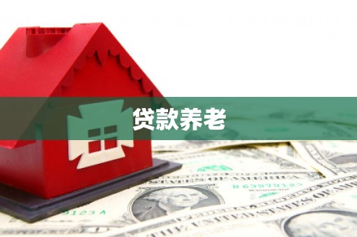 延庆贷款养老