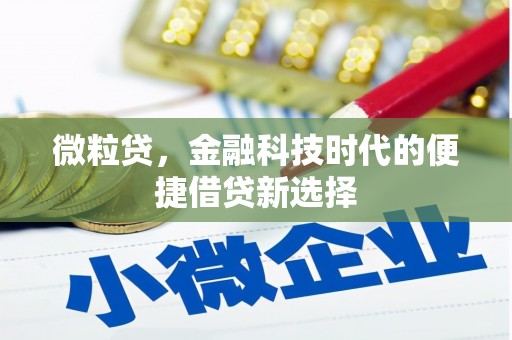 延庆微粒贷，金融科技时代的便捷借贷新选择