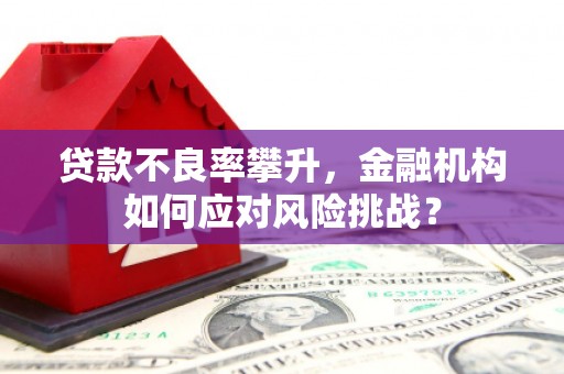 延庆贷款不良率攀升，金融机构如何应对风险挑战？
