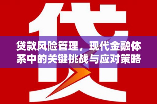 延庆贷款风险管理，现代金融体系中的关键挑战与应对策略