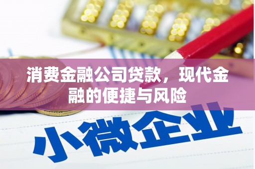 延庆消费金融公司贷款，现代金融的便捷与风险