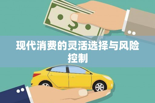 延庆现代消费的灵活选择与风险控制