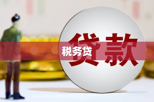 延庆税务贷